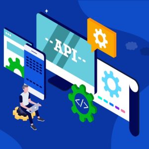 API Integration Services