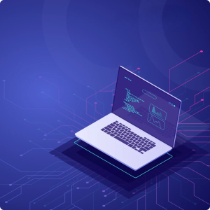 Custom Web Application Development