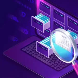 Virtual Security Audits & Penetration Testing